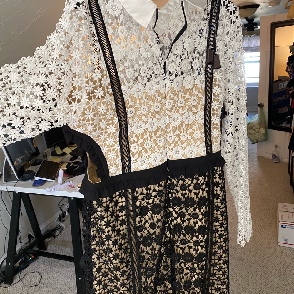 Dress - Picture 4 of 5